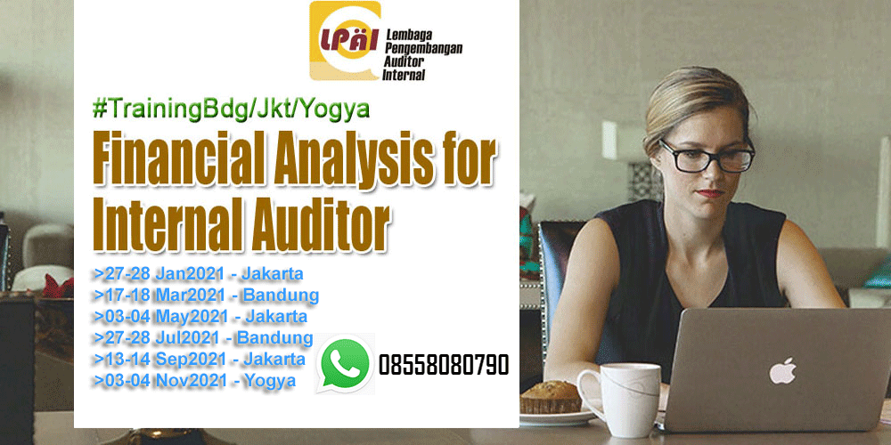 Financial Analysis for Internal Auditor
